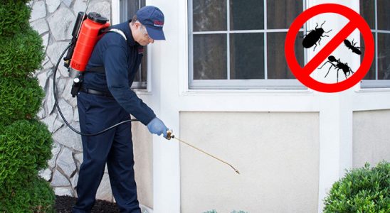 Doğançay Bit İlaçlama böcek ilaçlama ve haşere kontrolü — ilaclama-tr.com